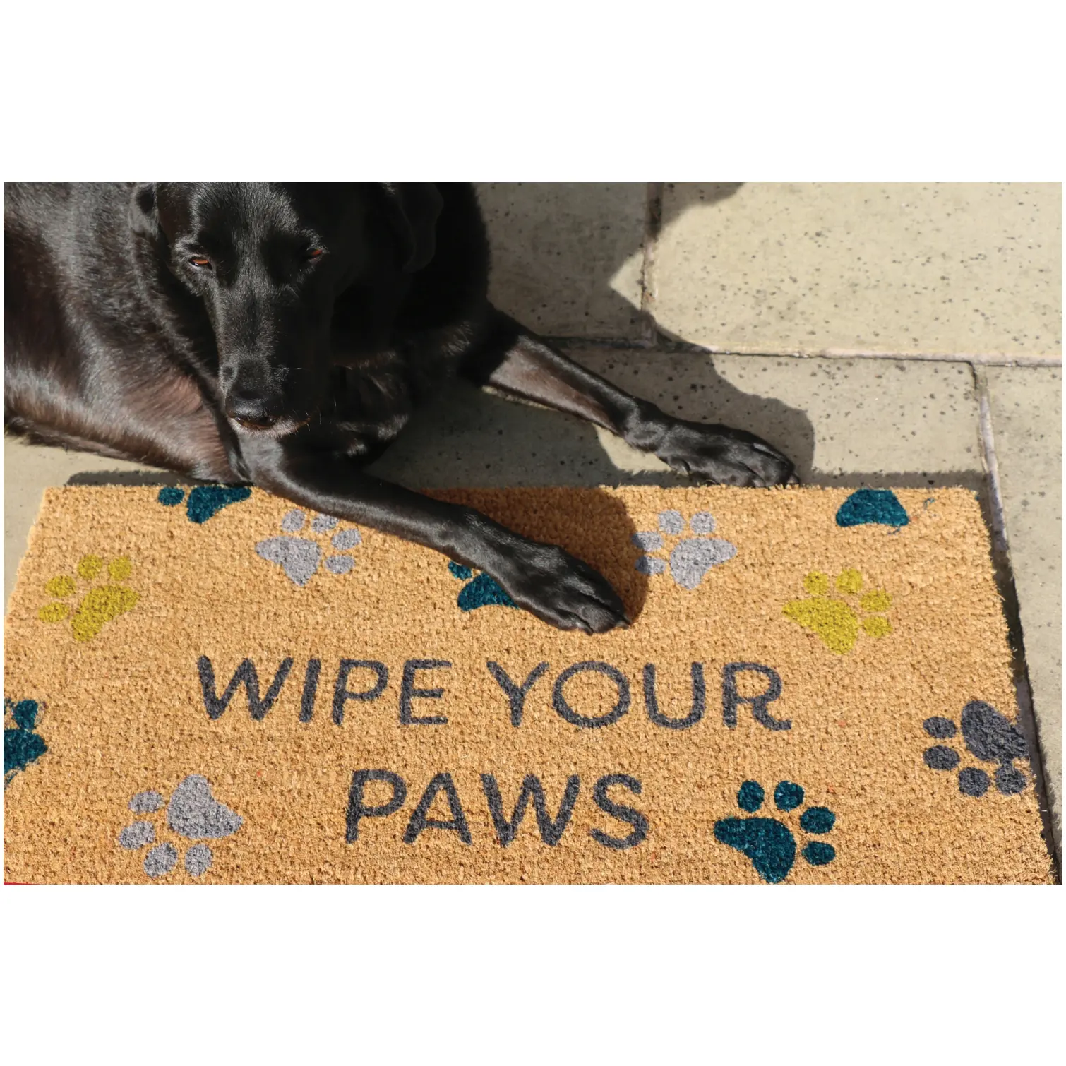My Mat Coir Wipe Your Paws 45 x 75cm