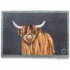PEX0170 Hug Rug Highland Cow Mat 50x75cm
