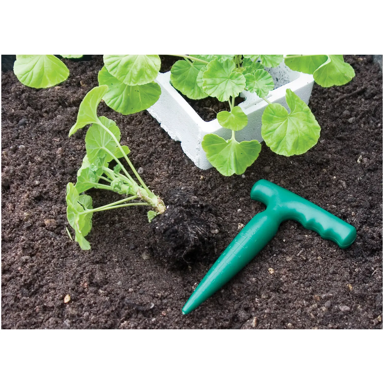 Garden Dibber