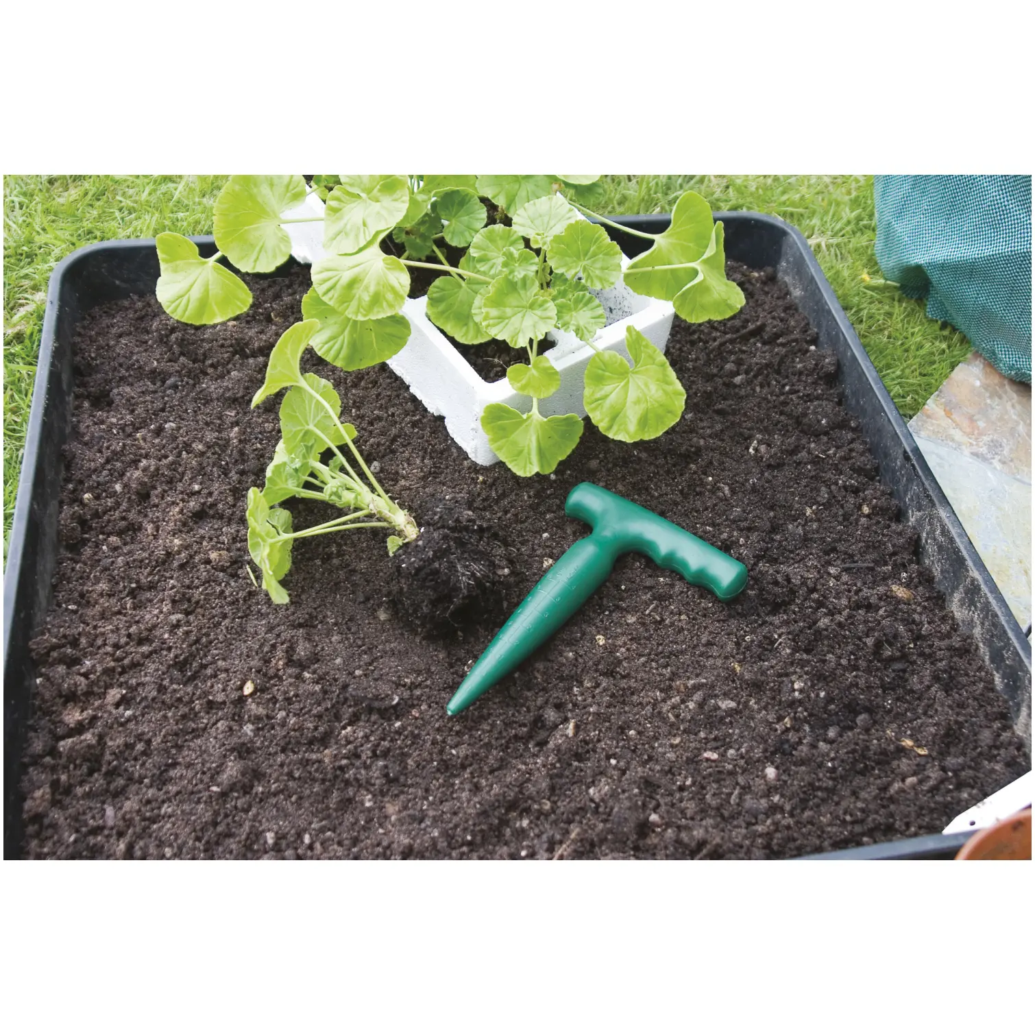 Garden Dibber