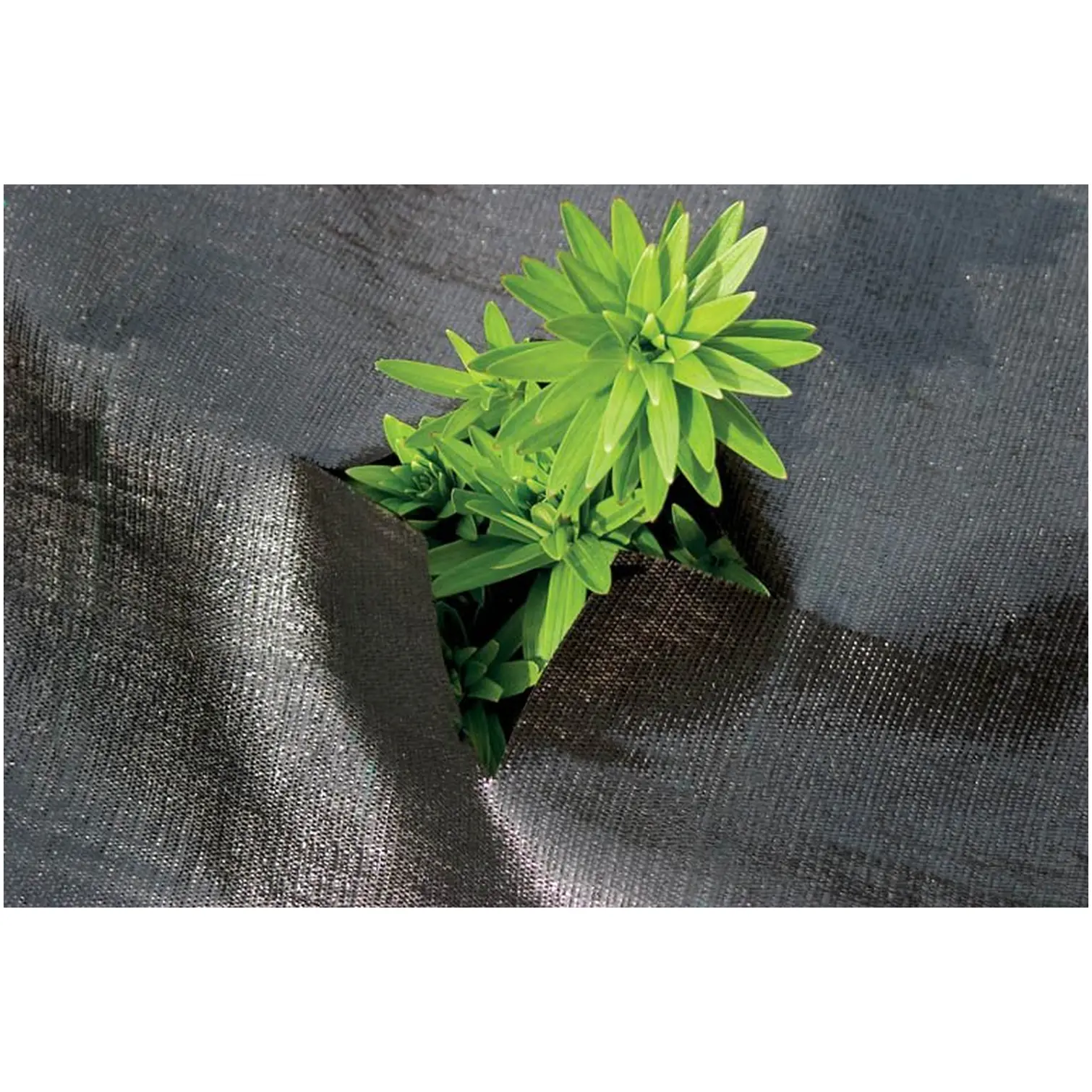 Weed Guard Heavy Duty 1m x 12m