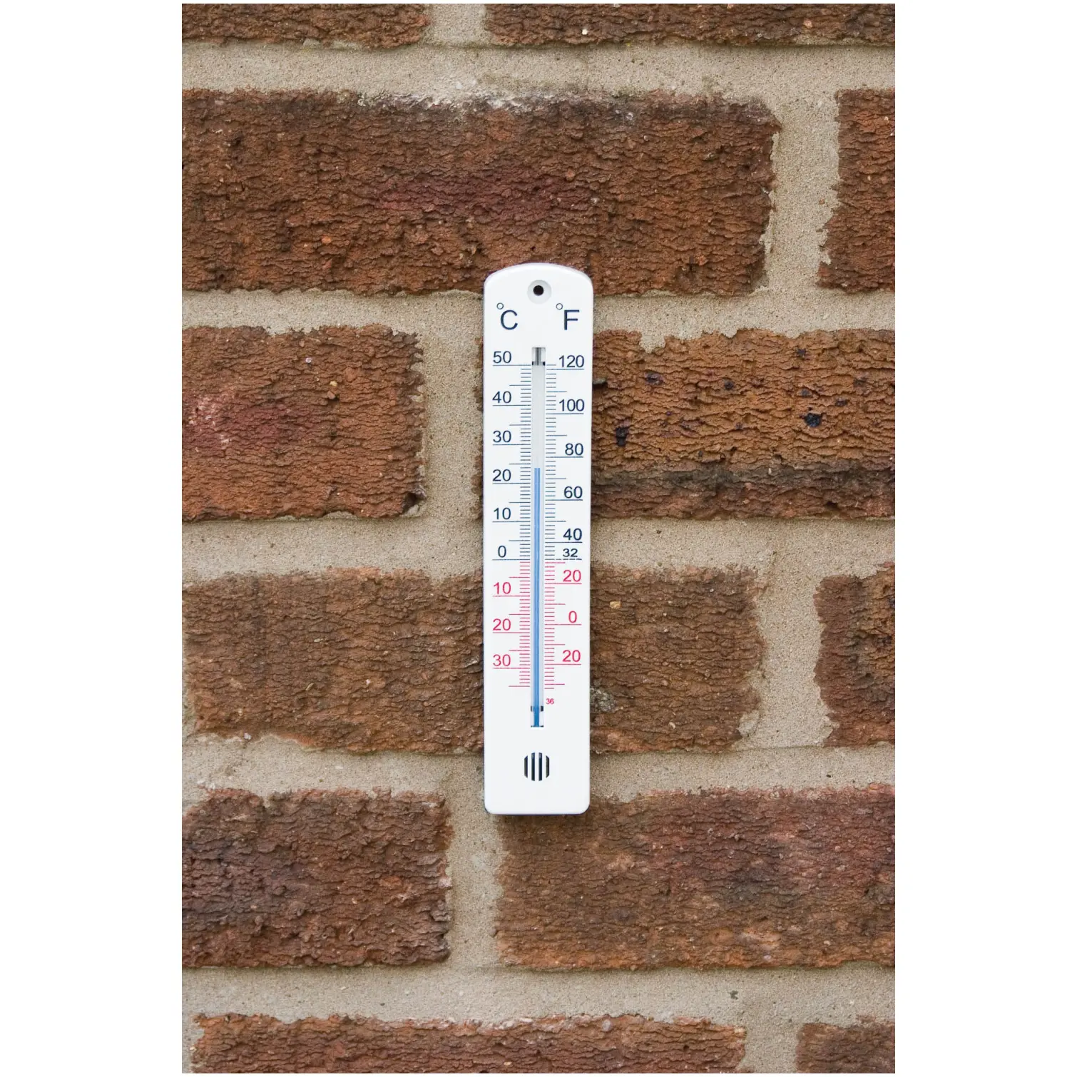 Wall Thermometer