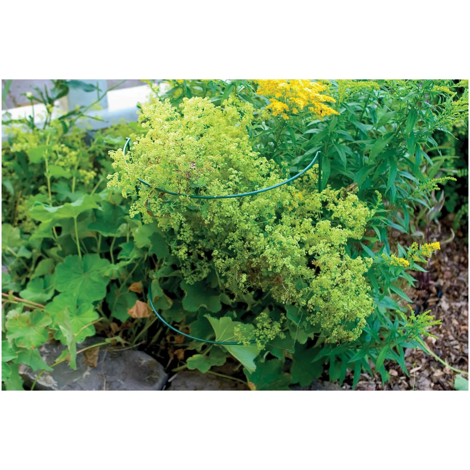 Treadstone 59.5cm Half Moon Plant Support