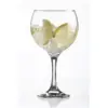 Ravenhead Gin Balloon Glasses 55cl Pack of 6