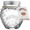 RAY0497_1 Strawberry Fruit Preserve Jar