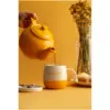 Price & Kensington Mustard 6 Cup Teapot