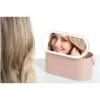 Carmen LED Mirror Cosmetic Storage