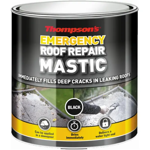 Thompson's Black Emergency Roof Mastic 750ml