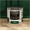 Ronseal Everywhere One Coat Matt Evergreen 2.5Ltr