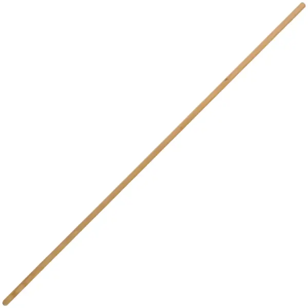 Rollins 1.8mx25mm(6ftx1") Broom Handle