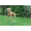 Rosewood Catch & Play Duo Ball
