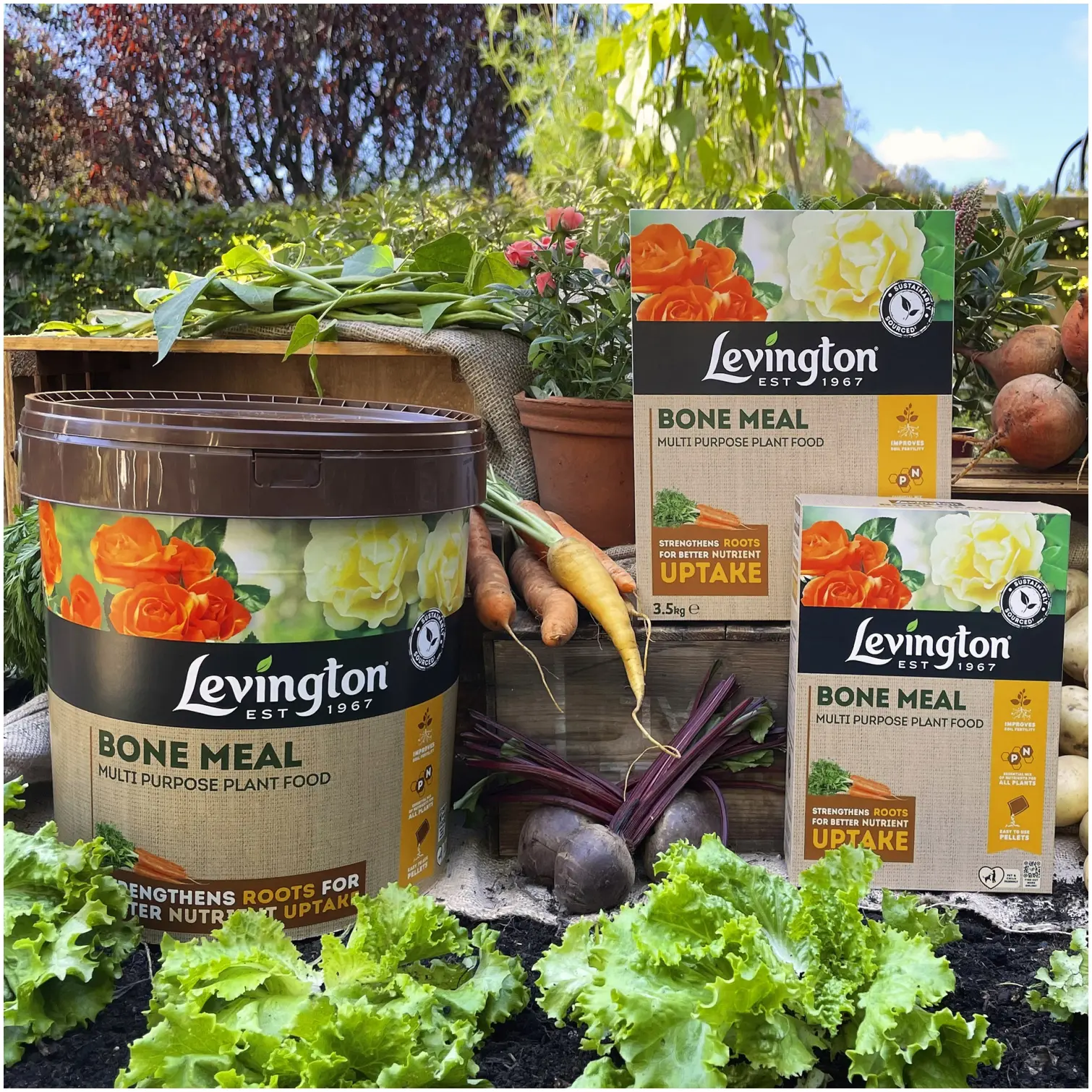 SCO0413_2 Levington Bone Meal 3.5kg