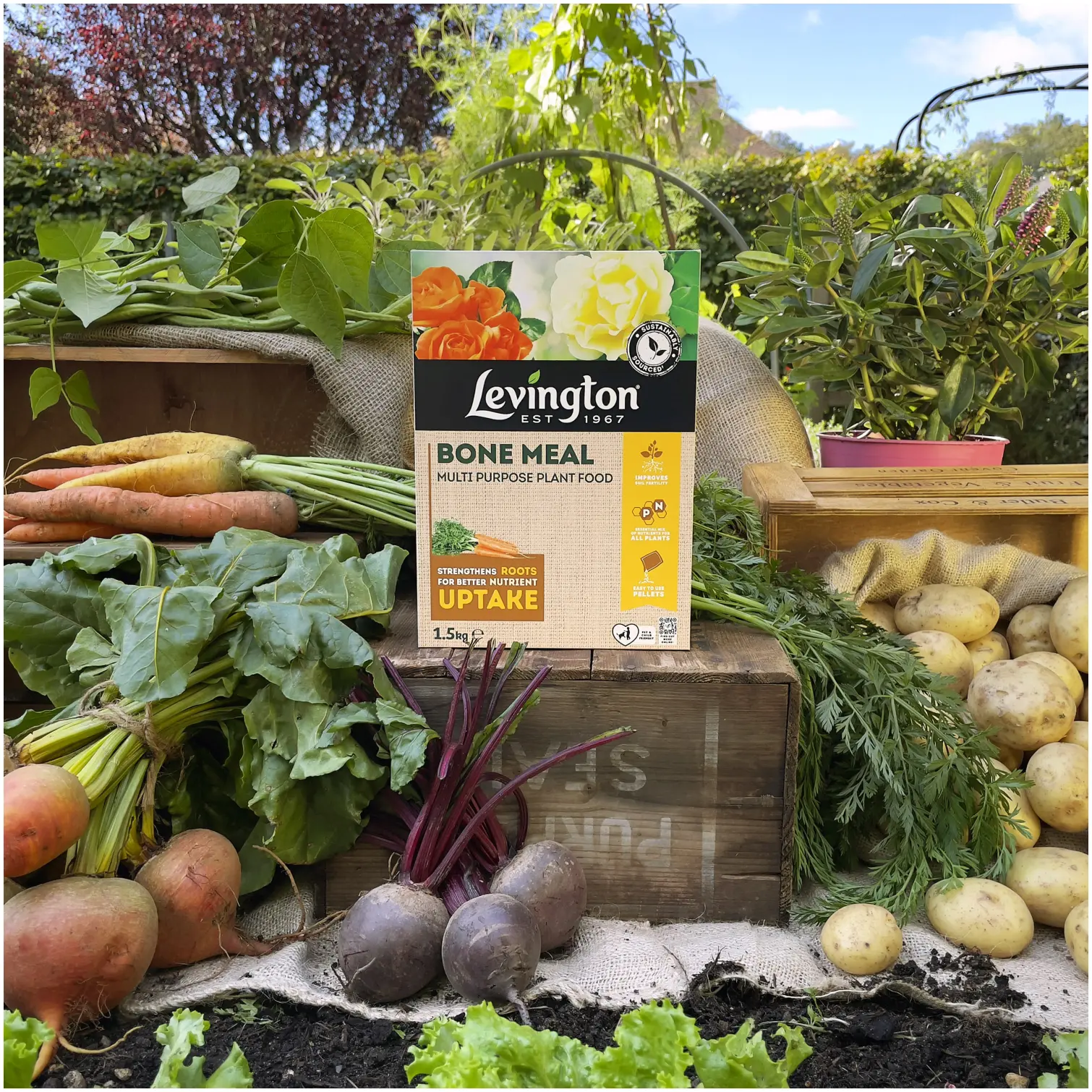 Levington Bone Meal 1.5kg