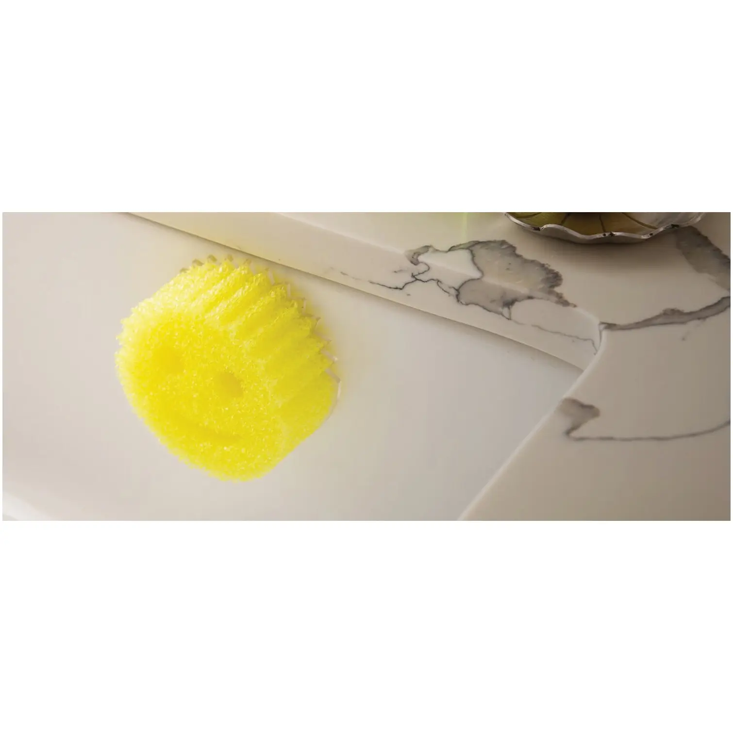 SCR0005_5 Scrub Daddy Caddy