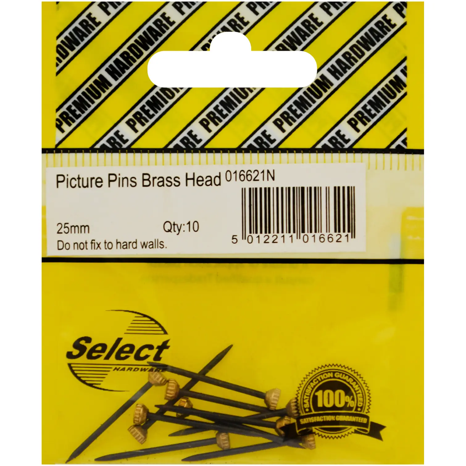 Select Picture Pins Brass Head pk10