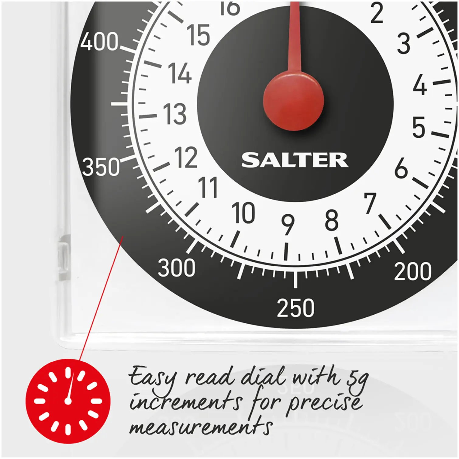 Salter Dietary Kitchen Scale 500g