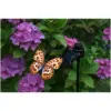 Smart Garden Flutterby