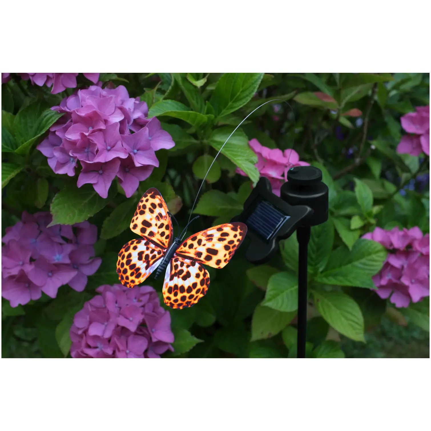 Smart Garden Flutterby
