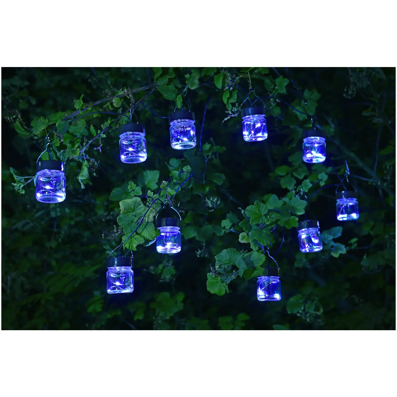 Smart Garden Firegly Opal Jar String Lights (10)