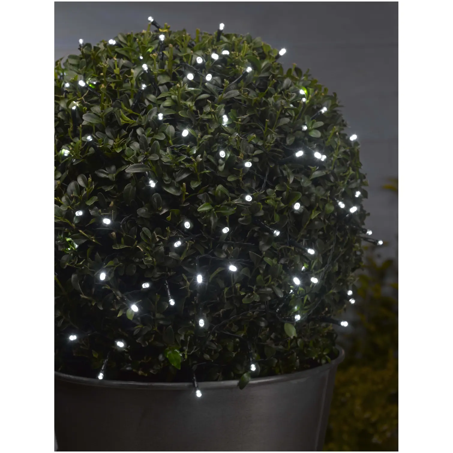 Smart Garden 100 LED Solar String Lights Cool White
