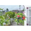 Smart Garden FlowerPro Basket 15"
