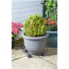 Smart Garden Titan Pot Caddy 40cm