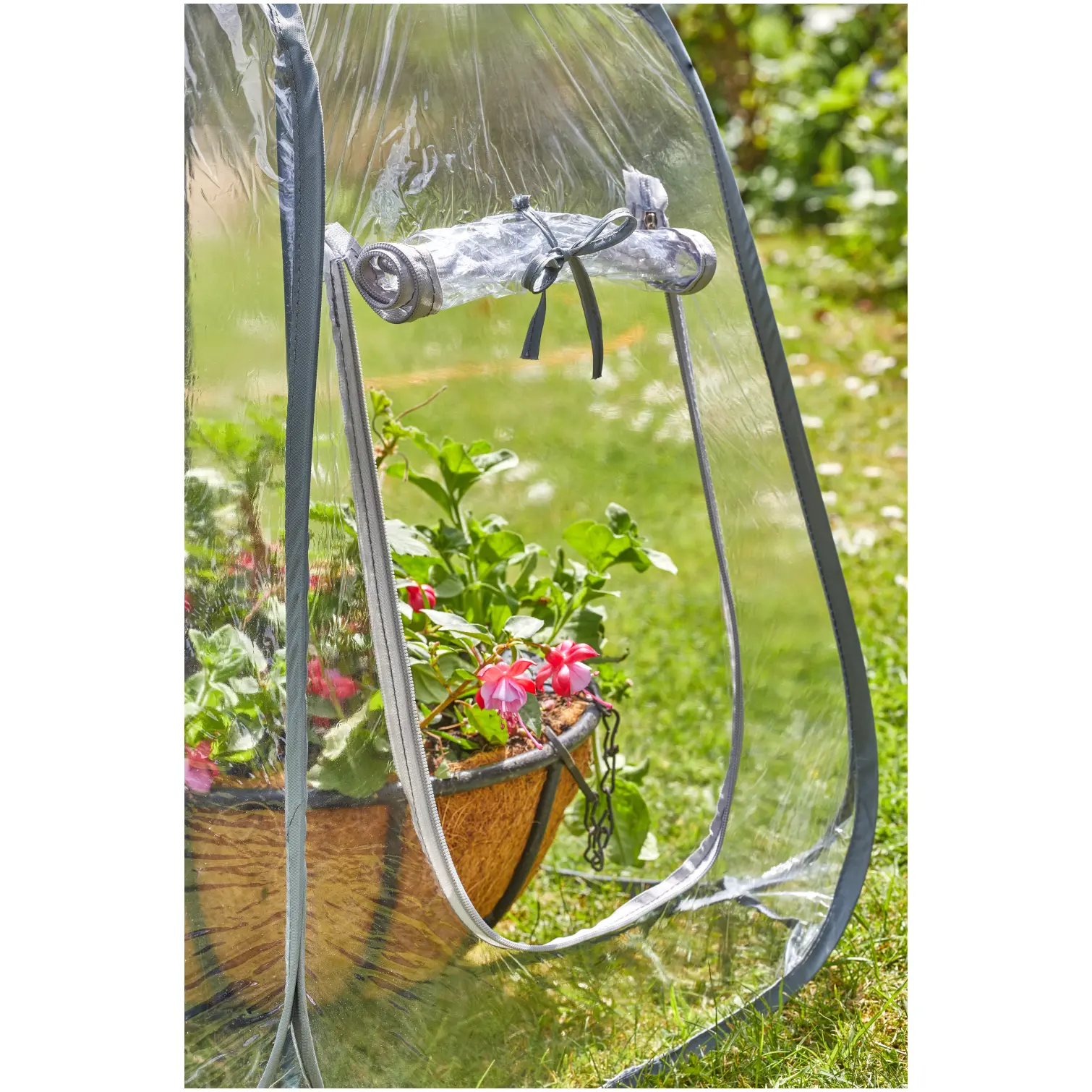 Smart Garden Pop-Up GroZone 60x50x50cm