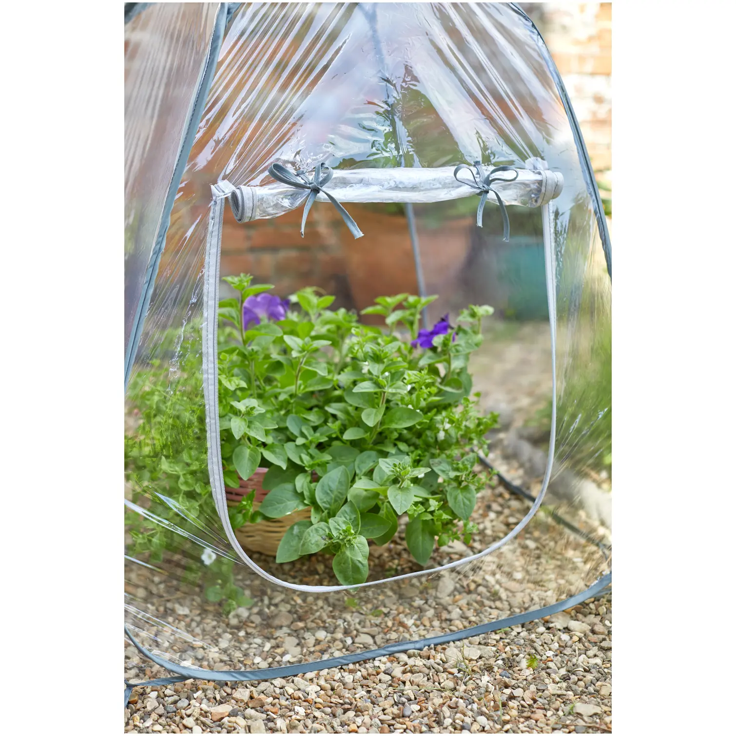 Smart Garden Pop-Up GroZone 60x50x50cm
