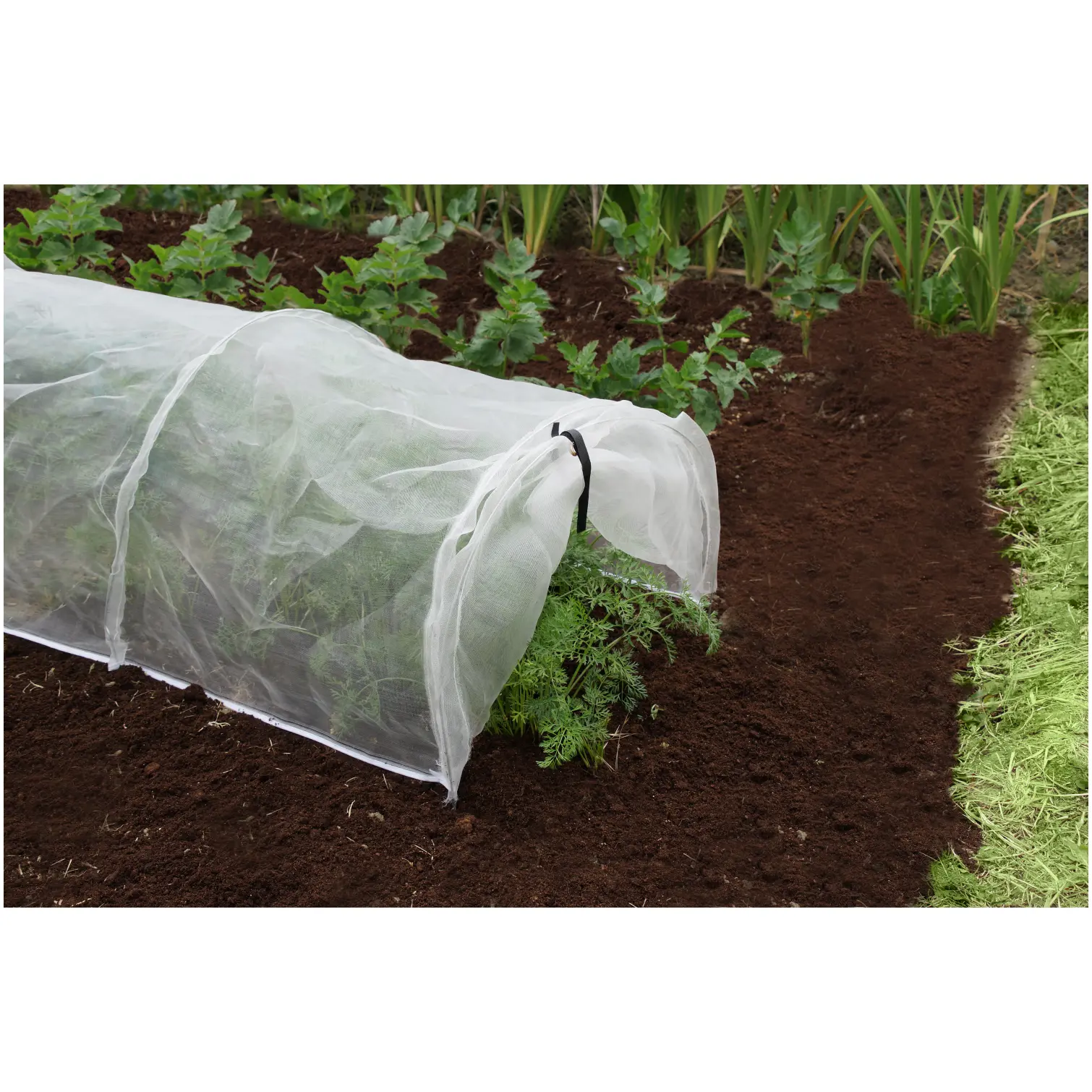Smart Garden Micromesh Tunnel 3.1mtr