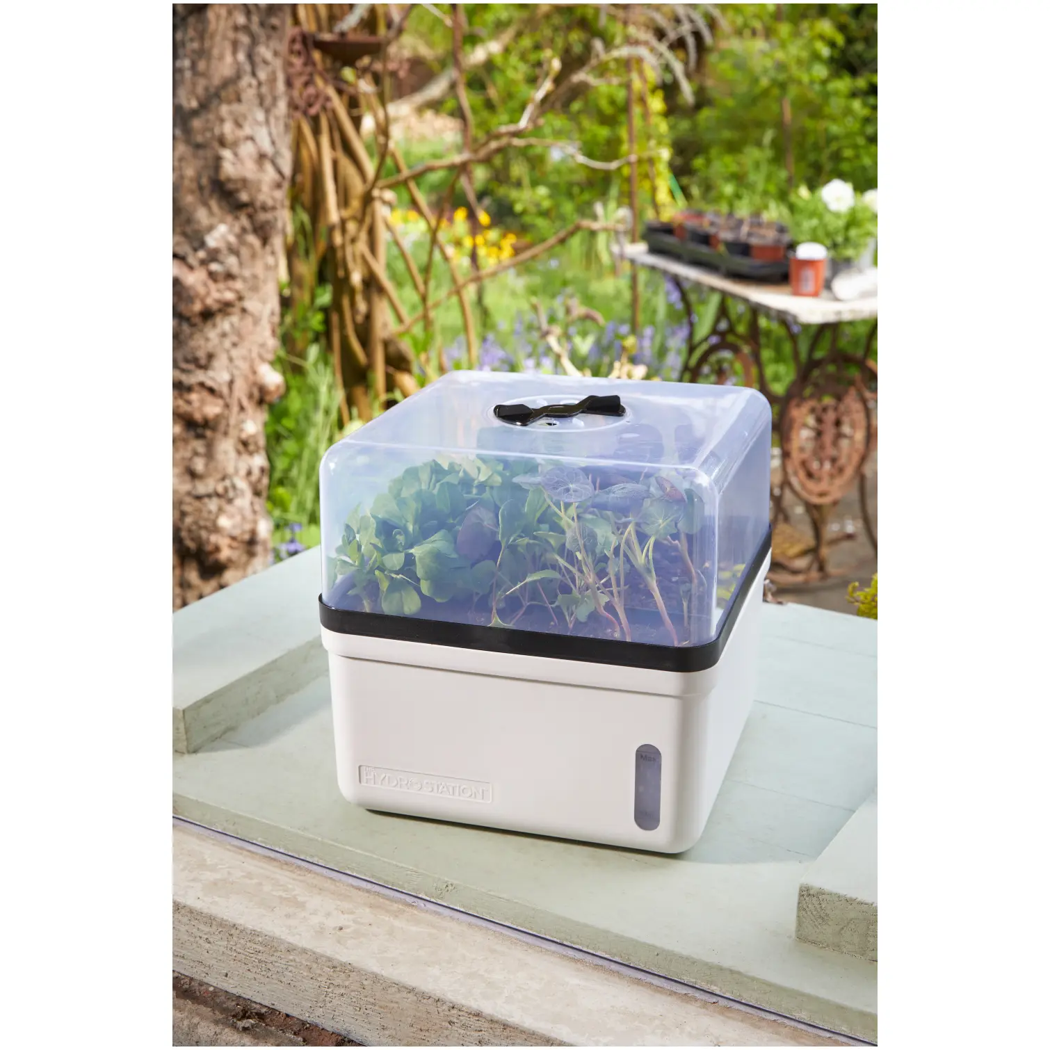 SMA0220_3 Smart Garden Perfect Propagator
