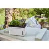 SMA0220_4 Smart Garden Perfect Propagator