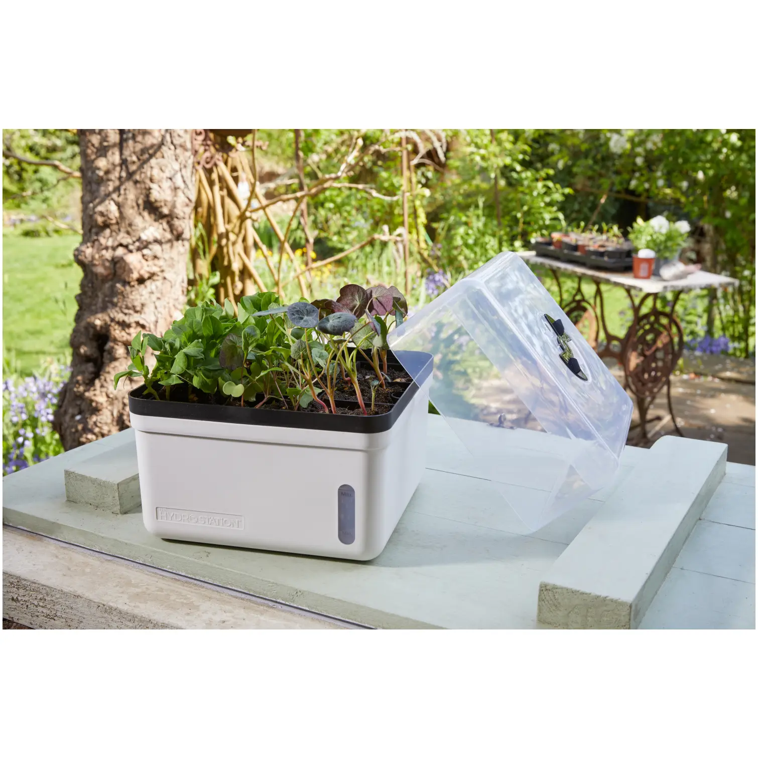 SMA0220_4 Smart Garden Perfect Propagator
