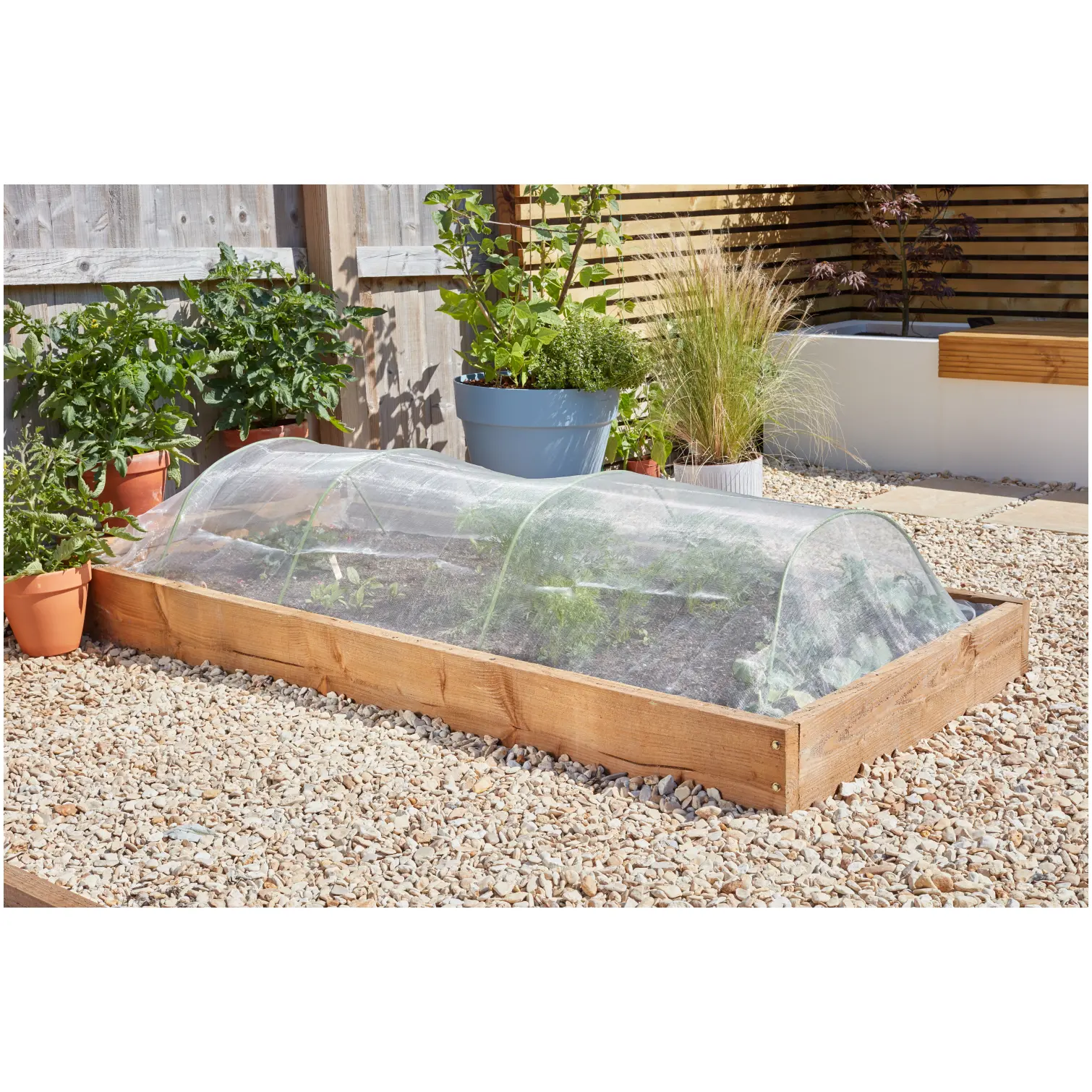 Smart Garden Insect Guard For Carrot Fly