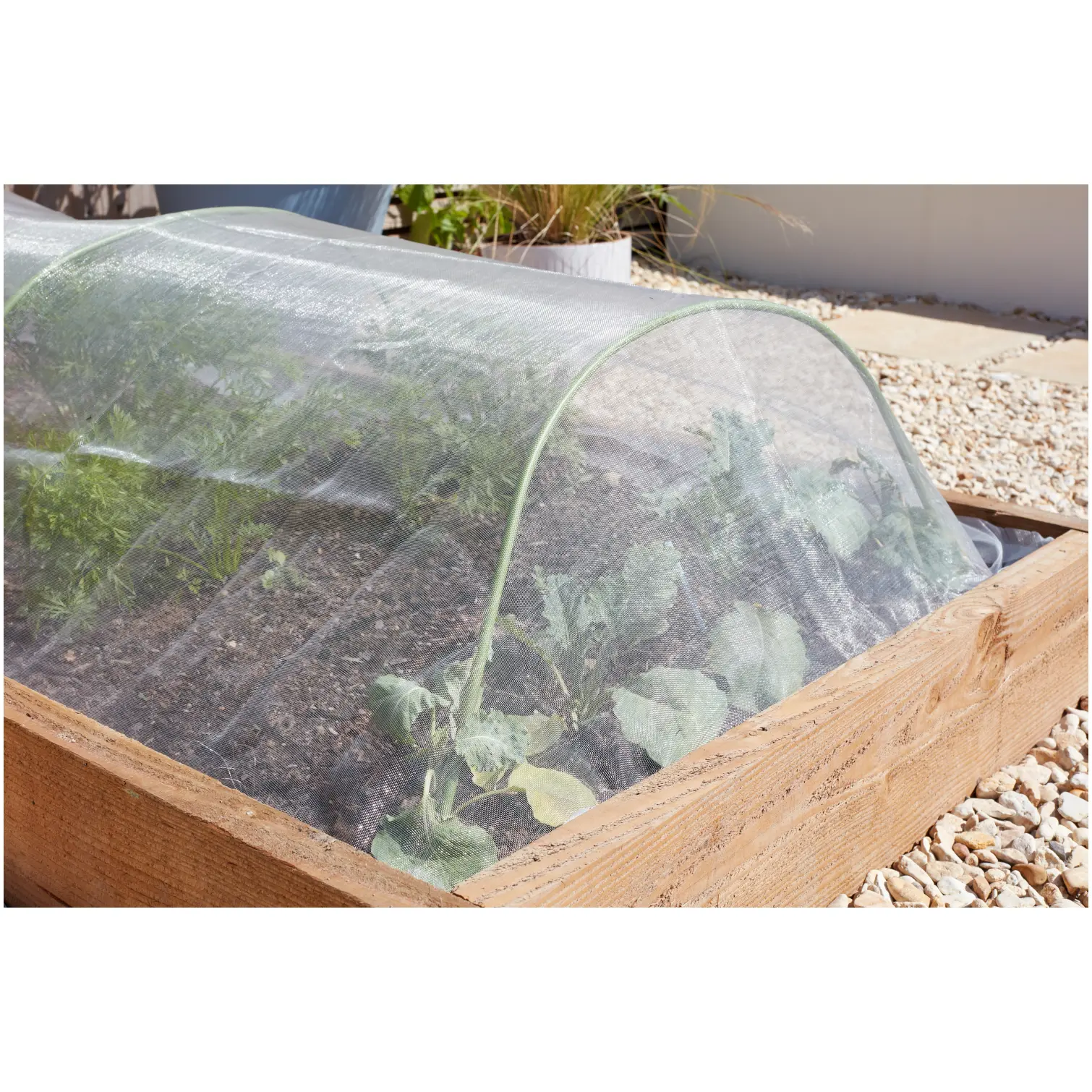 Smart Garden Insect Guard For Carrot Fly