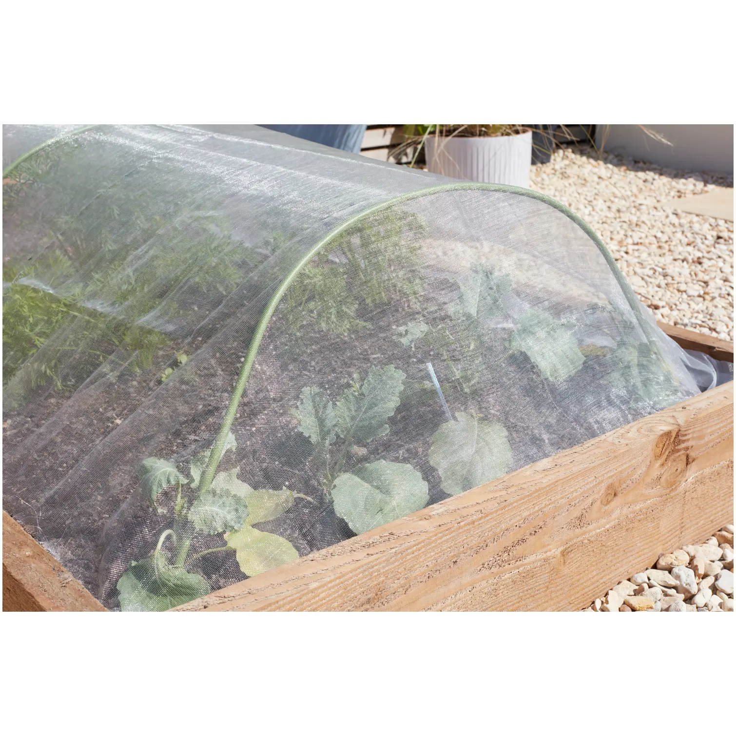 Smart Garden Insect Guard For Carrot Fly