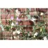 Smart Garden 5m x 1m Garden Mesh Green