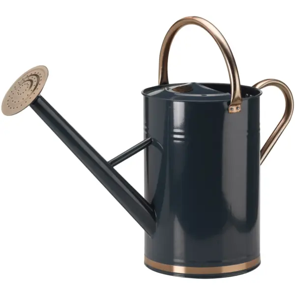 Metal Watering Can 9ltr Blue