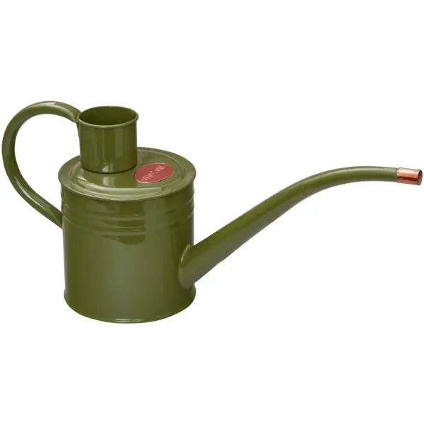 Metal Watering Can 1ltr Sage