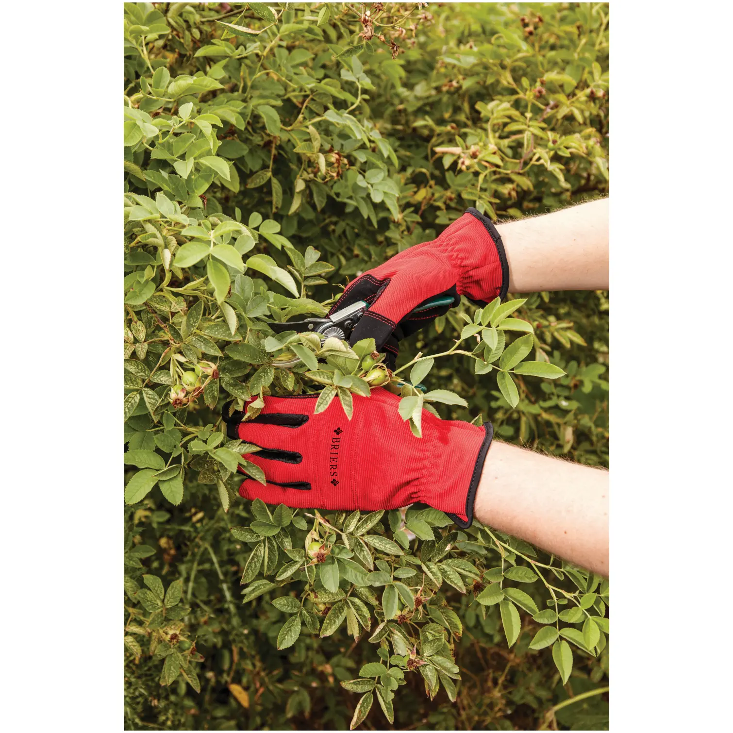 Briers Advanced Flex & Protect Glove Medium