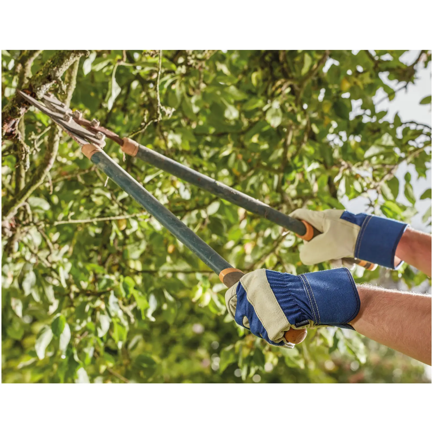 Briers Premium Rigger Glove Large