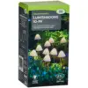 Smart Garden LumiShrooms Set of 10