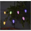 Multi Power String Light Pine Cone Set of 30
