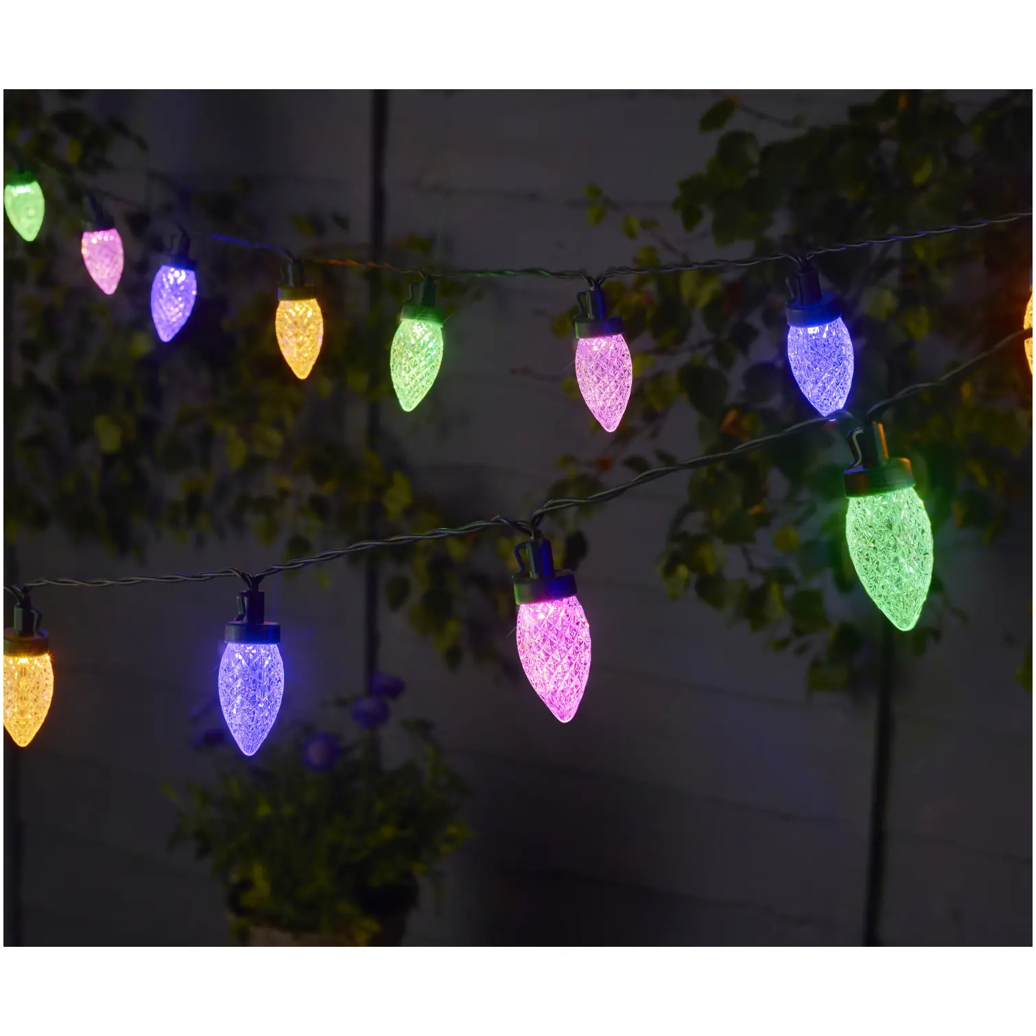 Multi Power String Light Pine Cone Set of 30