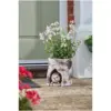 Smart Garden Hog Log Planter 18.5 x 19 x 17.5cm