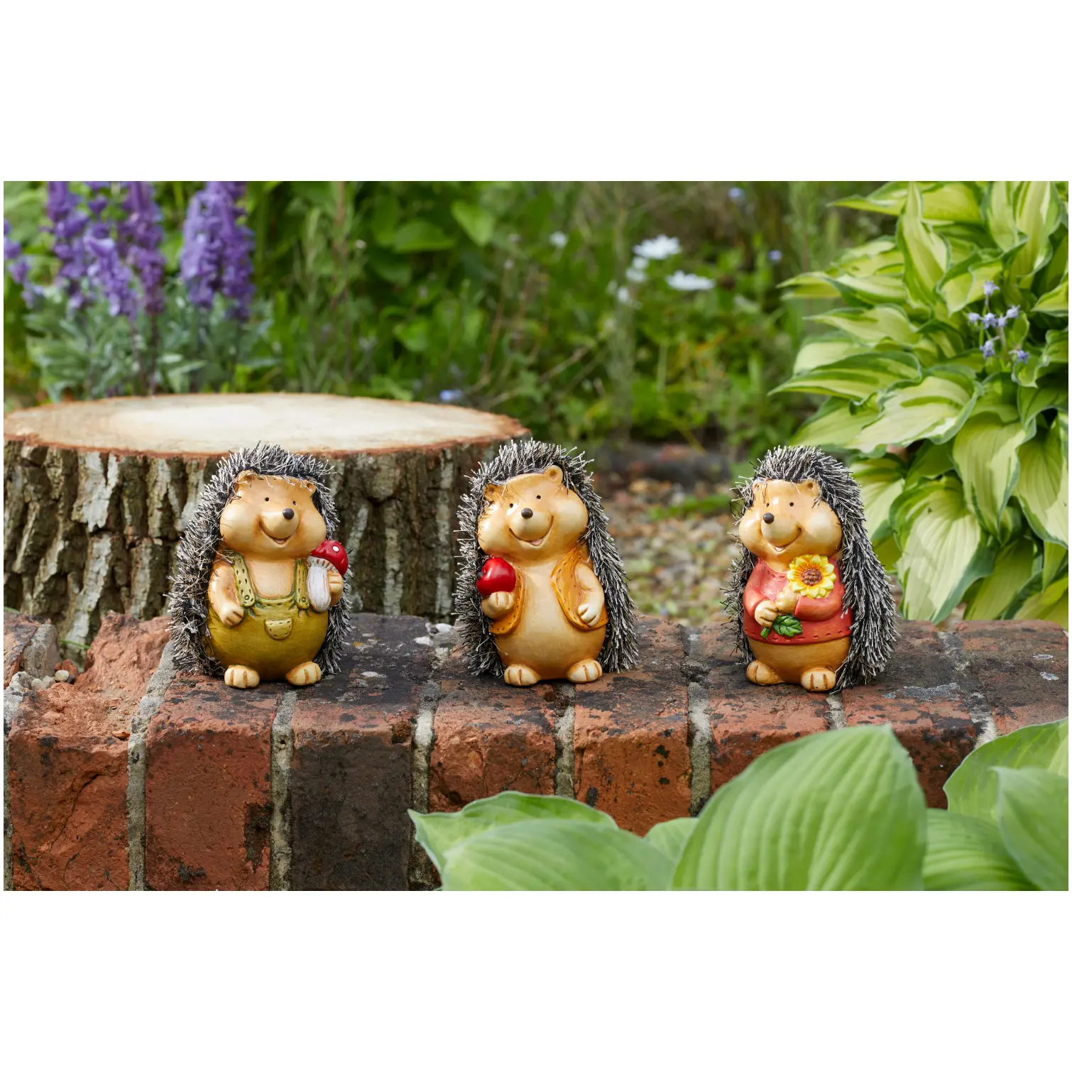 SMA0984 Smart Garden Baby Hoglet 12.5cm in Assorted Designs