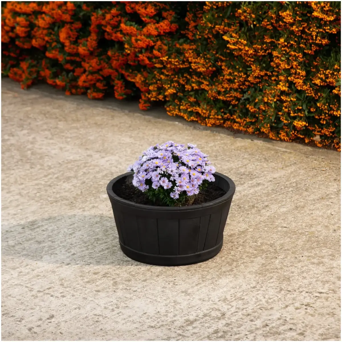 Strata Oakwood Barrel Planter Black - 49cm