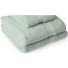 Premier Collection Bath Towel Mint Green 70x130cm