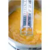 Tala Jam Thermometer