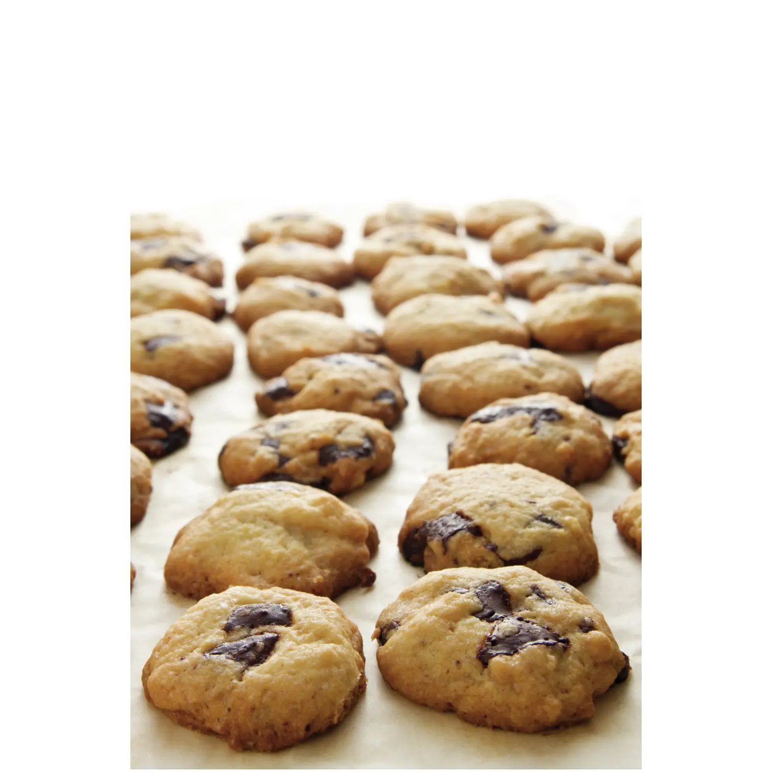 TLA0222_3 Tala Baking Sheet 35x40cm