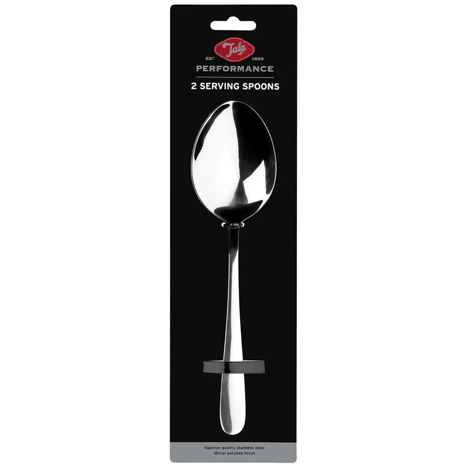 Stainless Steel Serving Spoons Set of 2